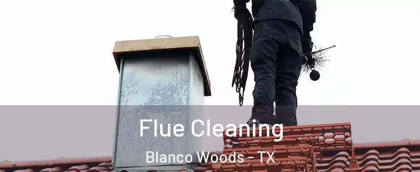 Flue Cleaning Blanco Woods - TX