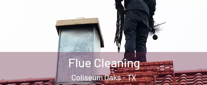 Flue Cleaning Coliseum Oaks - TX