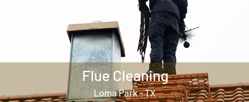 Flue Cleaning Loma Park - TX