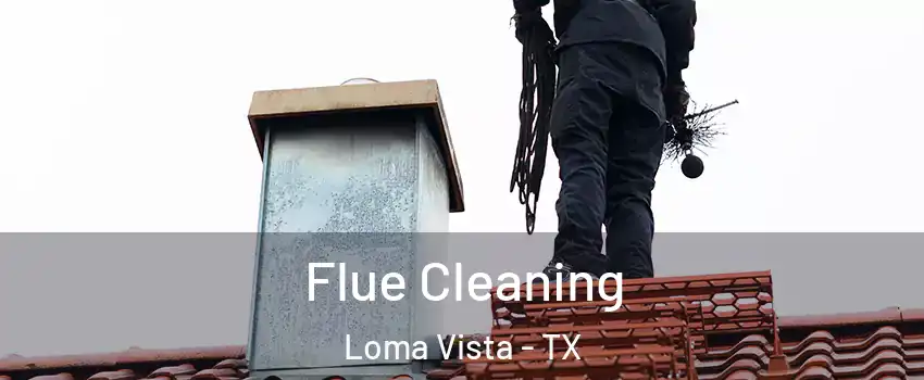 Flue Cleaning Loma Vista - TX