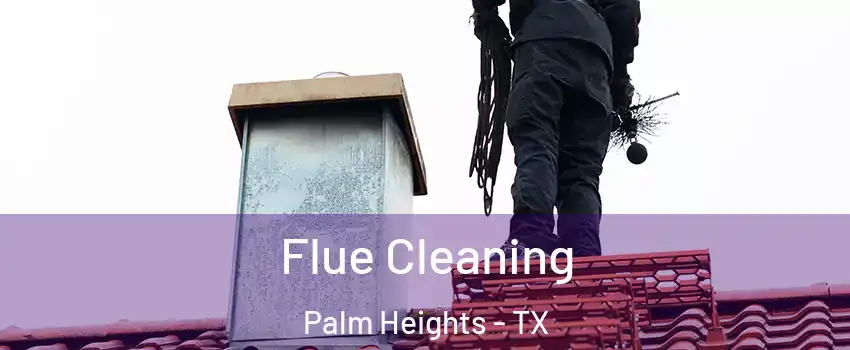 Flue Cleaning Palm Heights - TX