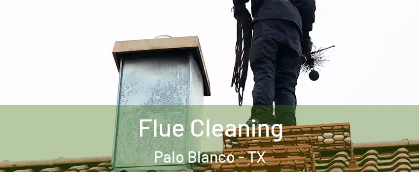 Flue Cleaning Palo Blanco - TX