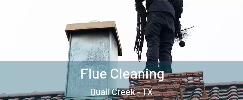 Flue Cleaning Quail Creek - TX