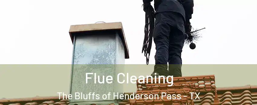 Flue Cleaning The Bluffs of Henderson Pass - TX