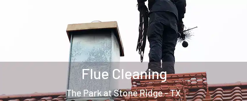 Flue Cleaning The Park at Stone Ridge - TX