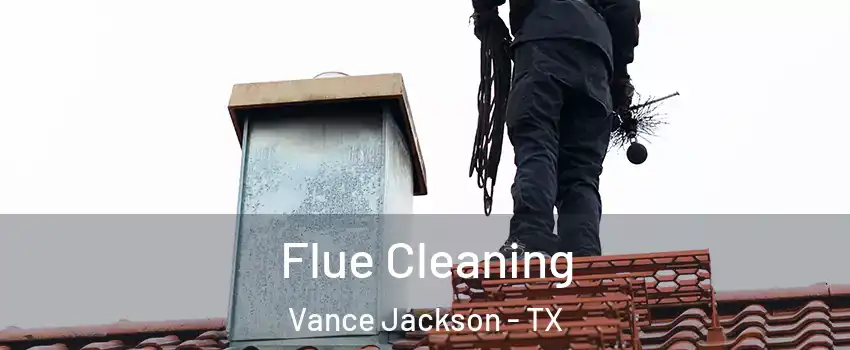 Flue Cleaning Vance Jackson - TX