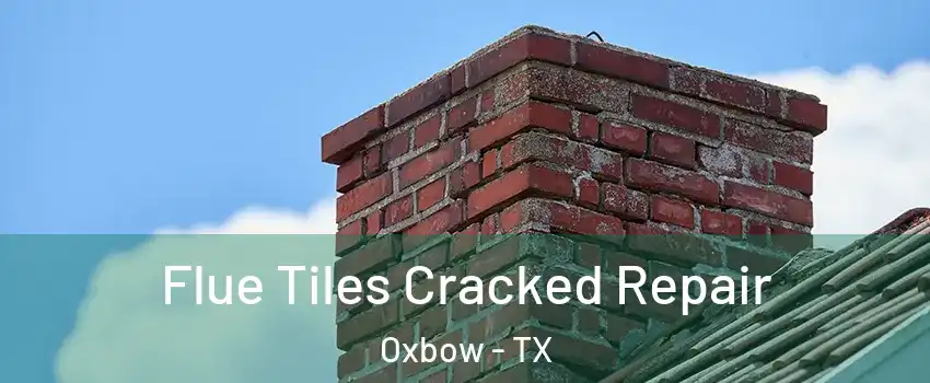 Flue Tiles Cracked Repair Oxbow - TX