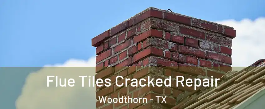 Flue Tiles Cracked Repair Woodthorn - TX