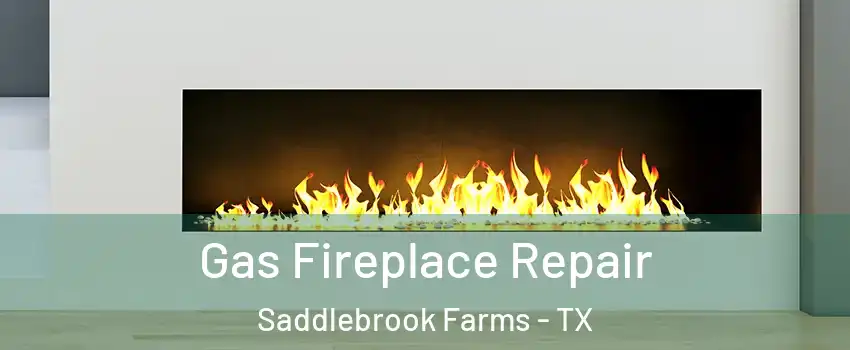 Gas Fireplace Repair Saddlebrook Farms - TX