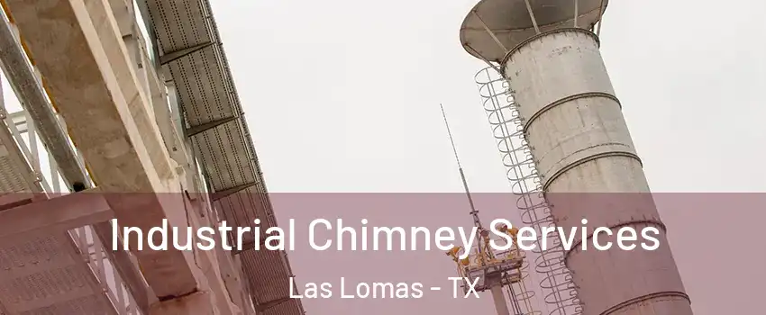 Industrial Chimney Services Las Lomas - TX