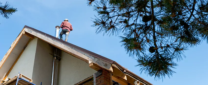 Birds Removal Contractors from Chimney in Villas at Redland Ranch, TX