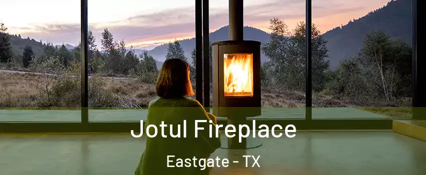 Jotul Fireplace Eastgate - TX