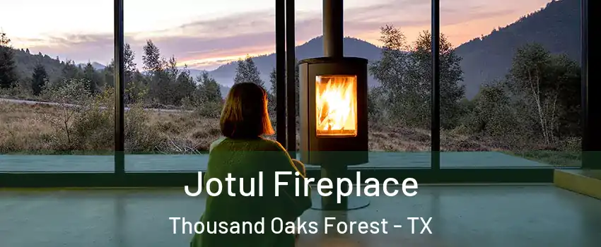 Jotul Fireplace Thousand Oaks Forest - TX