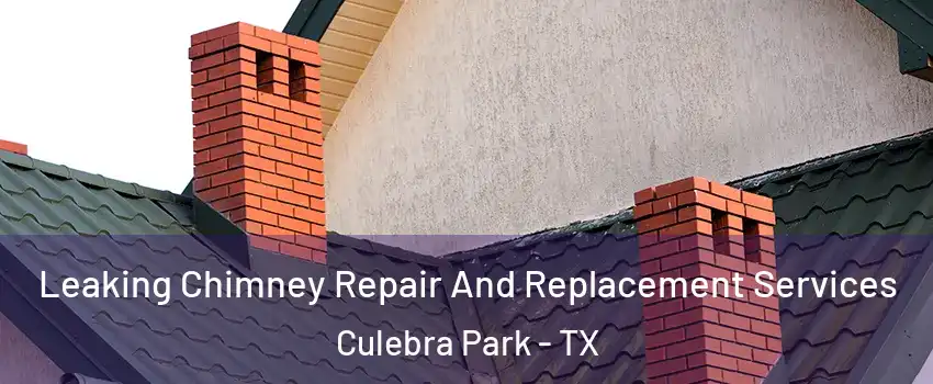 Leaking Chimney Repair And Replacement Services Culebra Park - TX