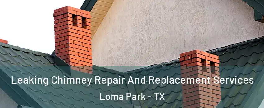 Leaking Chimney Repair And Replacement Services Loma Park - TX