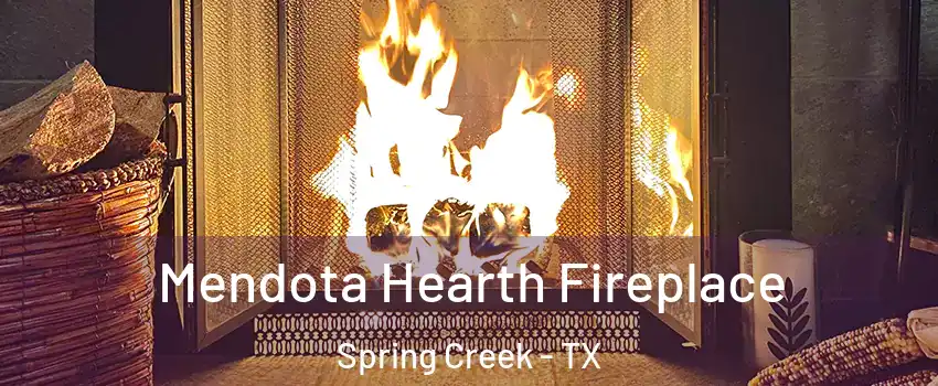 Mendota Hearth Fireplace Spring Creek - TX