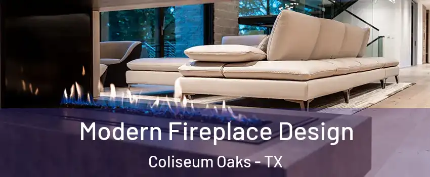 Modern Fireplace Design Coliseum Oaks - TX