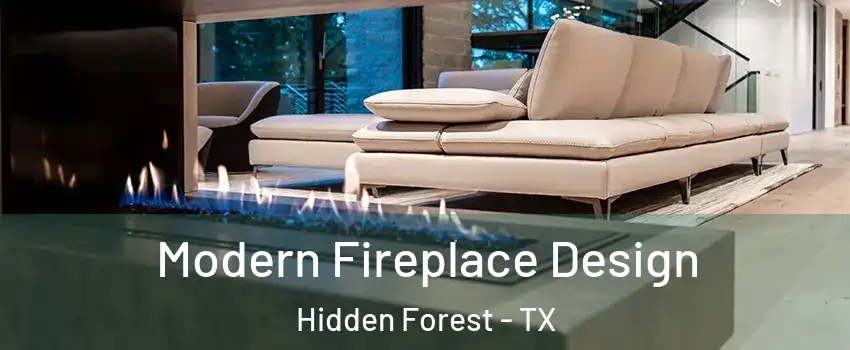 Modern Fireplace Design Hidden Forest - TX