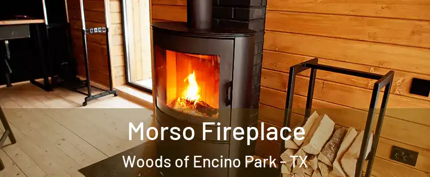 Morso Fireplace Woods of Encino Park - TX