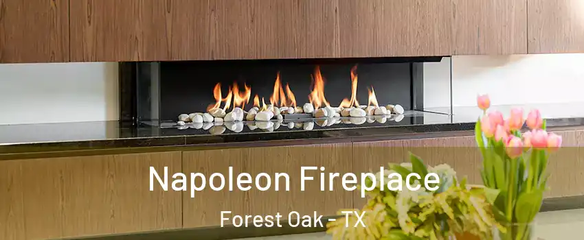 Napoleon Fireplace Forest Oak - TX