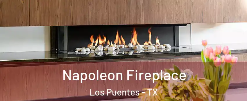 Napoleon Fireplace Los Puentes - TX