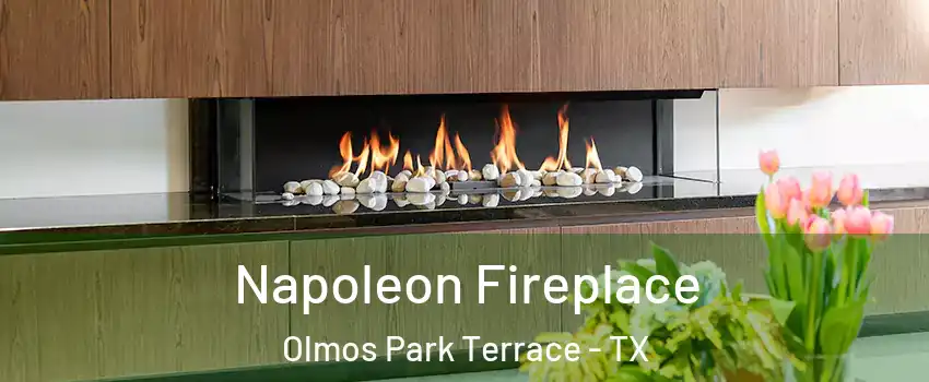 Napoleon Fireplace Olmos Park Terrace - TX