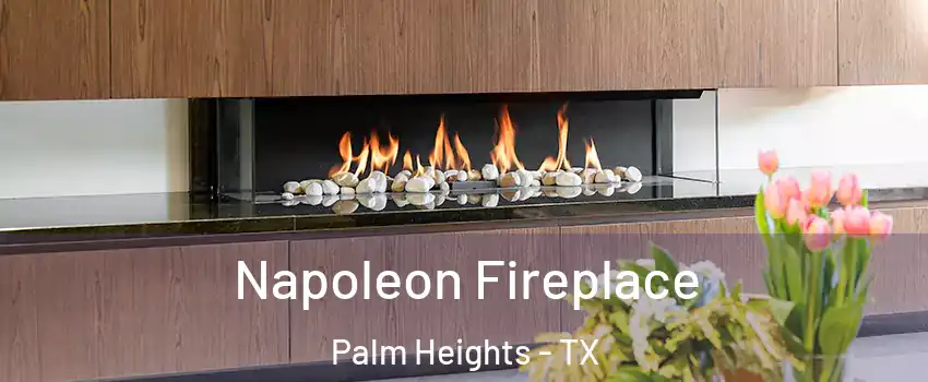 Napoleon Fireplace Palm Heights - TX