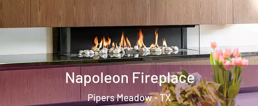 Napoleon Fireplace Pipers Meadow - TX