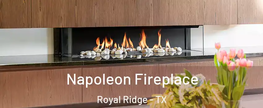Napoleon Fireplace Royal Ridge - TX