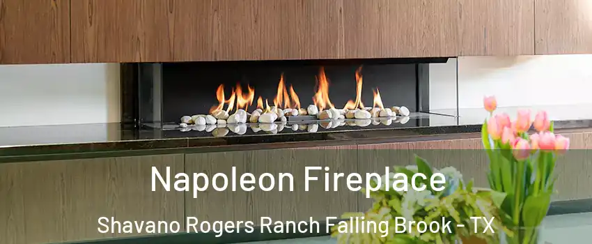Napoleon Fireplace Shavano Rogers Ranch Falling Brook - TX