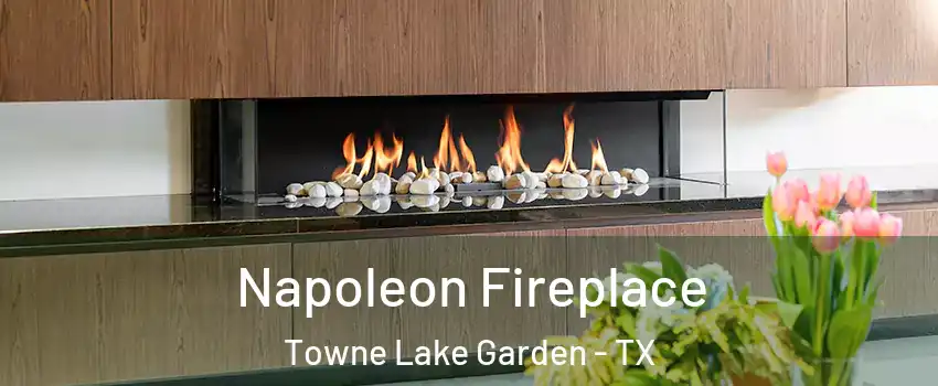Napoleon Fireplace Towne Lake Garden - TX
