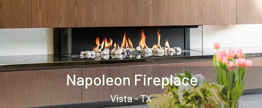 Napoleon Fireplace Vista - TX
