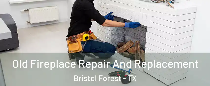 Old Fireplace Repair And Replacement Bristol Forest - TX