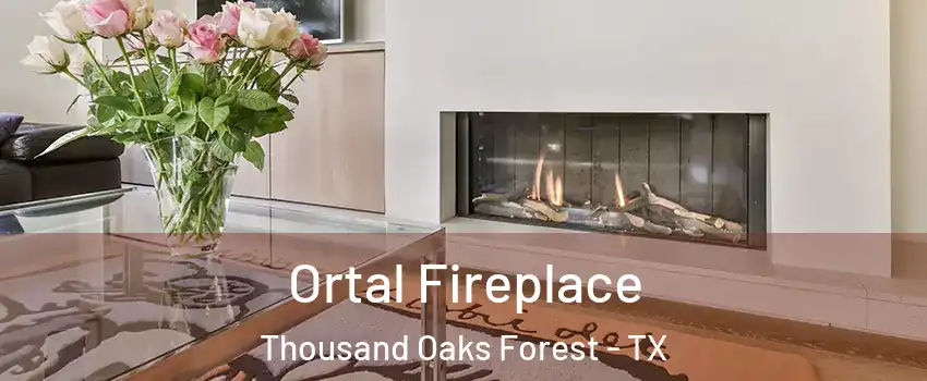 Ortal Fireplace Thousand Oaks Forest - TX