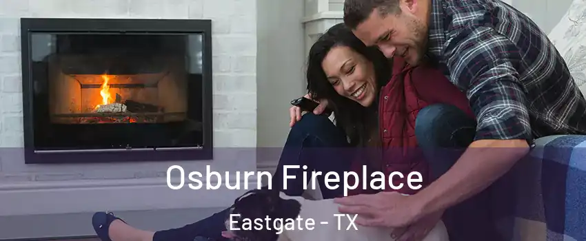 Osburn Fireplace Eastgate - TX