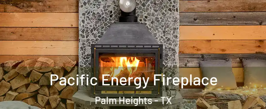 Pacific Energy Fireplace Palm Heights - TX