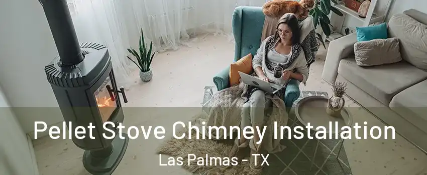 Pellet Stove Chimney Installation Las Palmas - TX