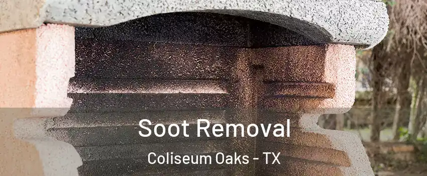 Soot Removal Coliseum Oaks - TX