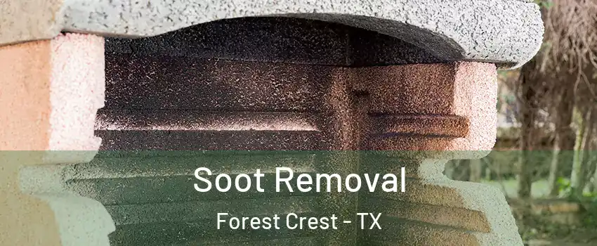 Soot Removal Forest Crest - TX
