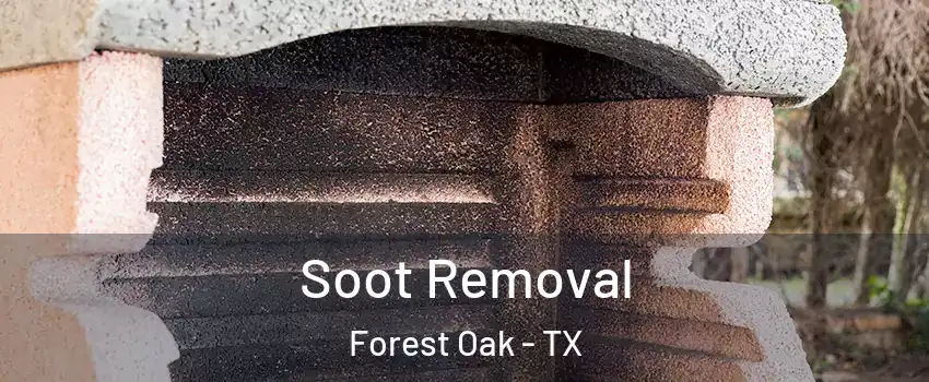 Soot Removal Forest Oak - TX