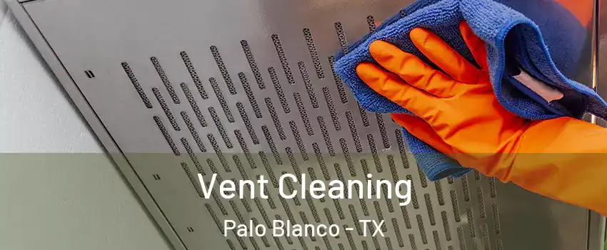 Vent Cleaning Palo Blanco - TX