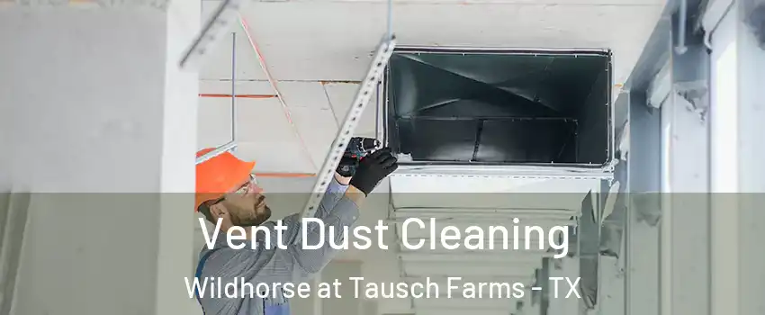 Vent Dust Cleaning Wildhorse at Tausch Farms - TX