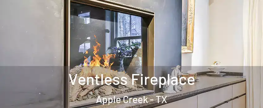 Ventless Fireplace Apple Creek - TX