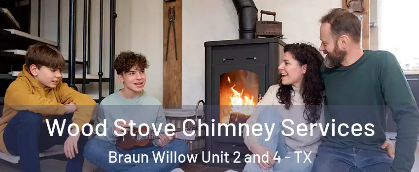 Wood Stove Chimney Services Braun Willow Unit 2 and 4 - TX
