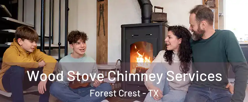 Wood Stove Chimney Services Forest Crest - TX