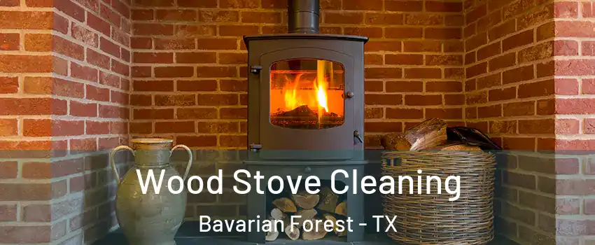 Wood Stove Cleaning Bavarian Forest - TX